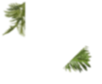 form-bush